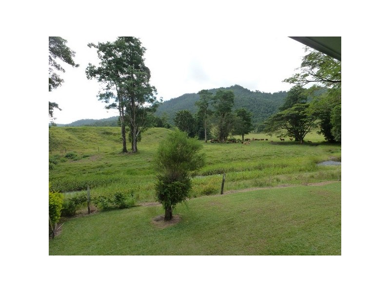 Japoonvale QLD 4856