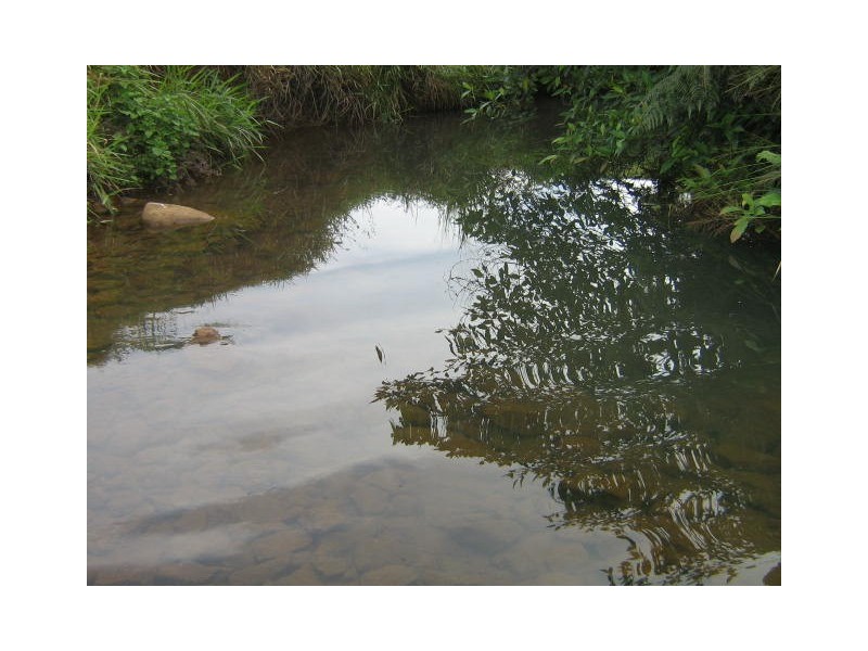 East Palmerston QLD 4860
