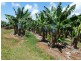 Innisfail QLD 4860