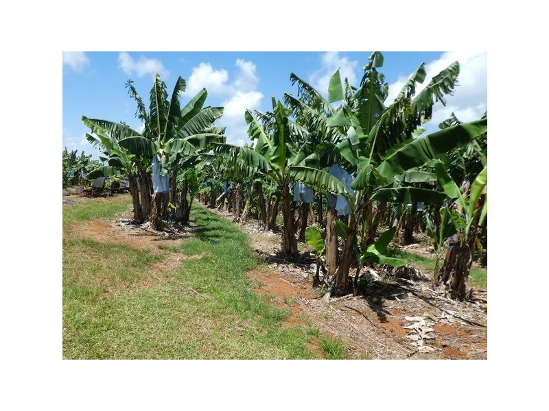 Innisfail QLD 4860