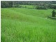 El Arish QLD 4855