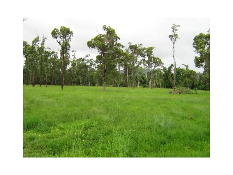 El Arish QLD 4855