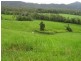 El Arish QLD 4855