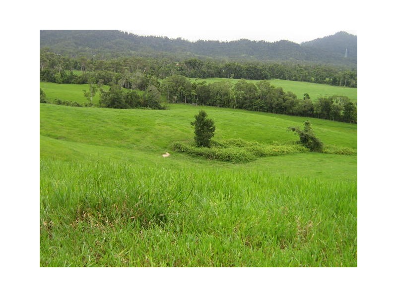 El Arish QLD 4855