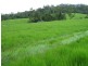 El Arish QLD 4855