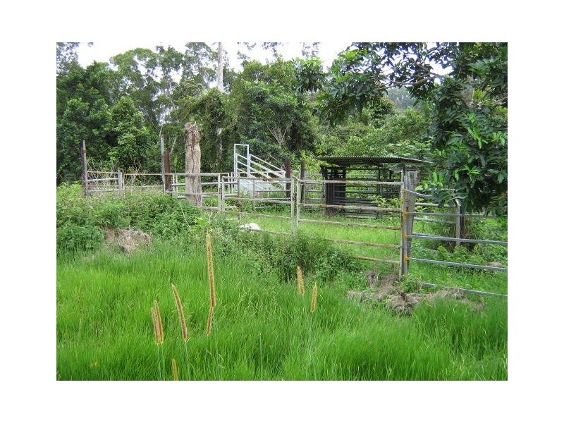 El Arish QLD 4855