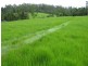 El Arish QLD 4855