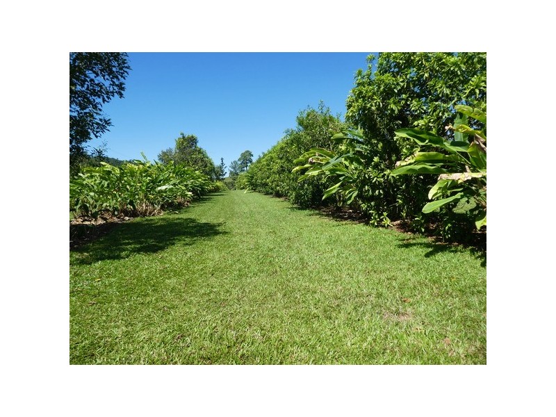 Utchee Creek QLD 4871