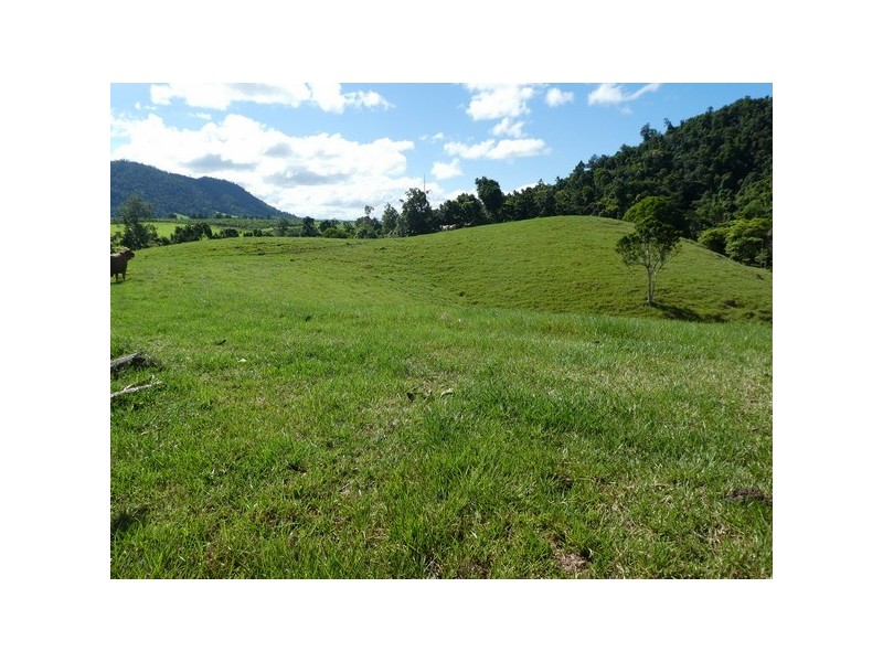 Utchee Creek QLD 4871