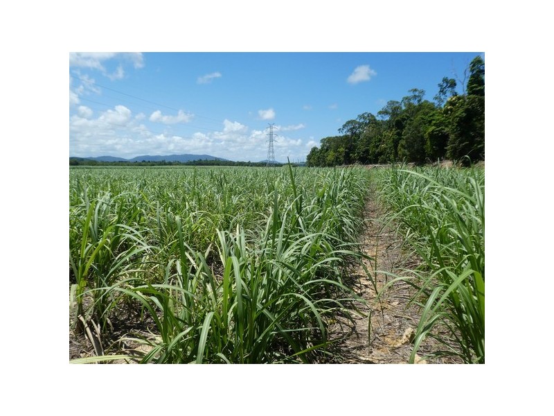 Maria Creeks QLD 4855