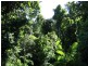 Maria Creeks QLD 4855