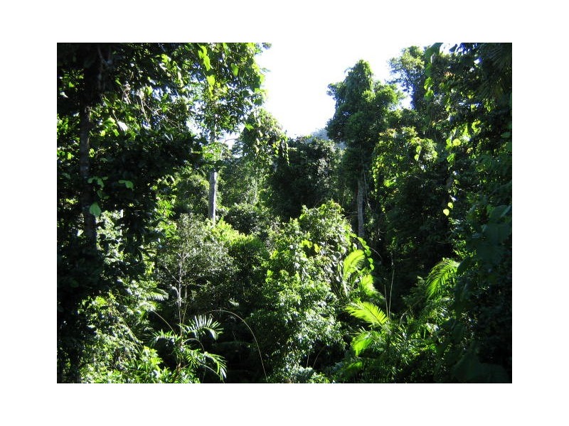Maria Creeks QLD 4855