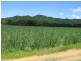 Babinda QLD 4861