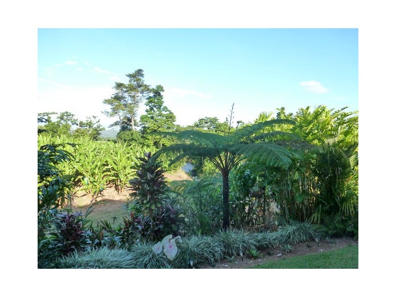 South Johnstone QLD 4859