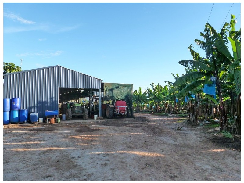 South Johnstone QLD 4859