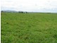 Innisfail QLD 4860