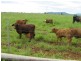 Innisfail QLD 4860