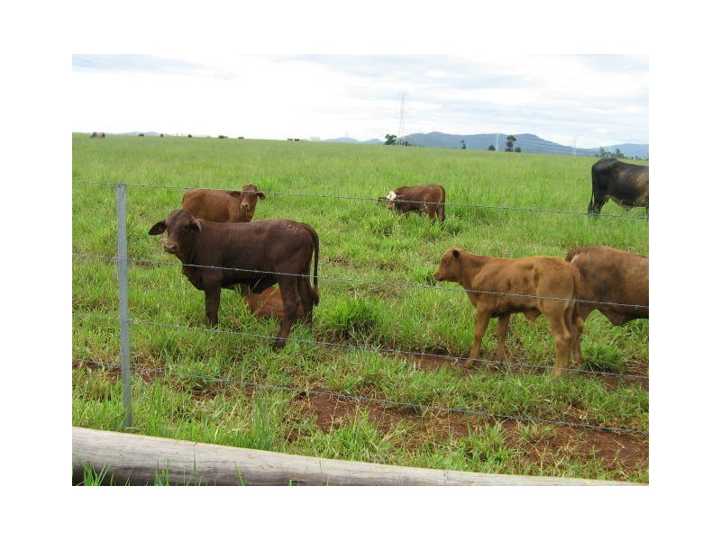 Innisfail QLD 4860