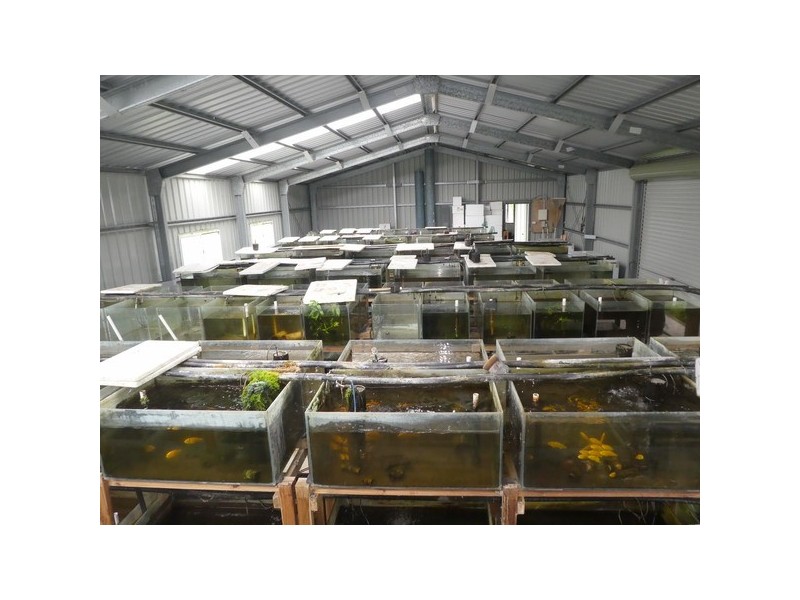 Mourilyan Harbour QLD 4858