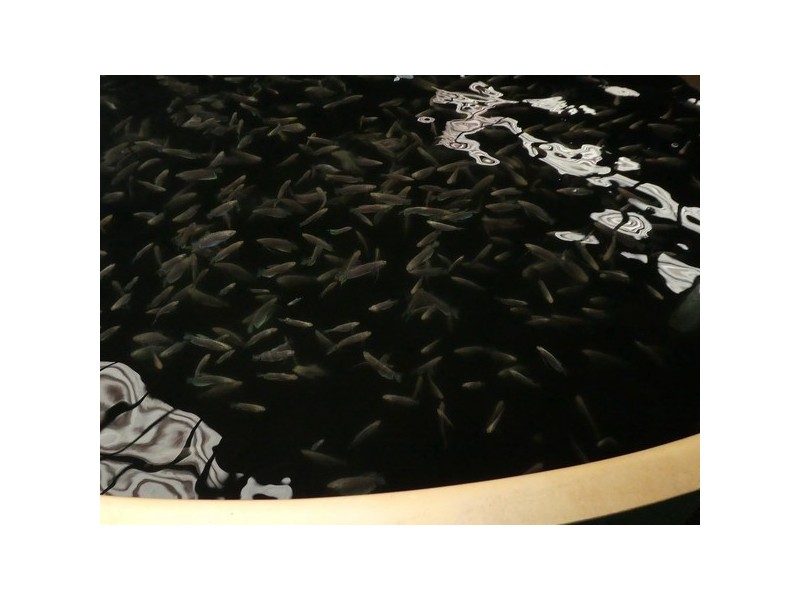 Mourilyan Harbour QLD 4858