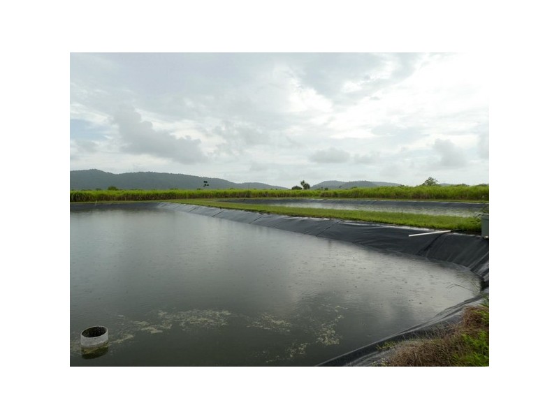 Mourilyan Harbour QLD 4858