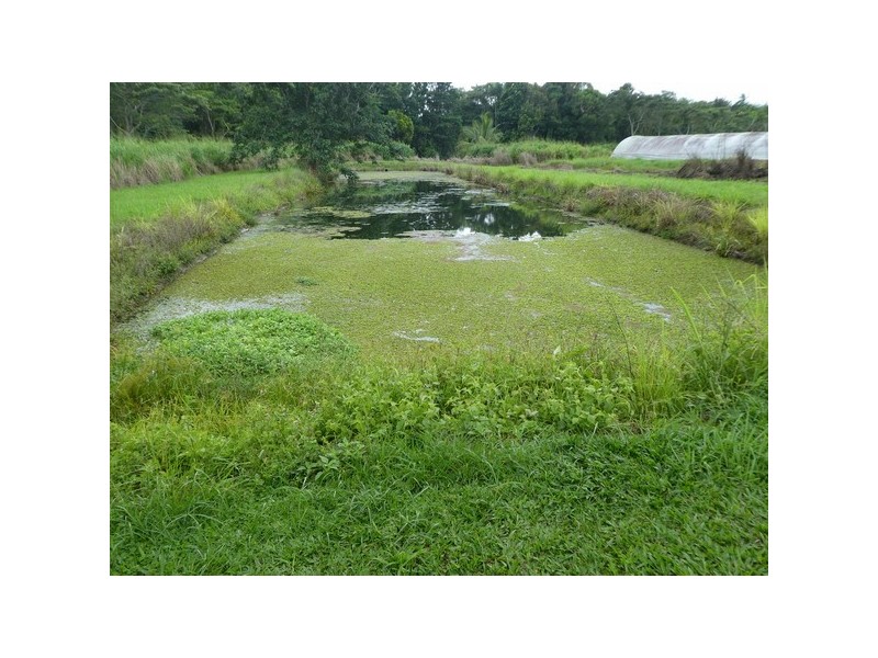 Mourilyan Harbour QLD 4858