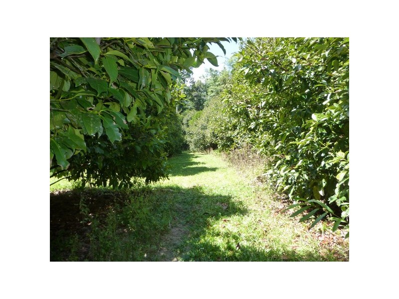 Eubenangee QLD 4860
