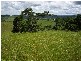 Mena Creek QLD 4871