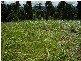 Mena Creek QLD 4871