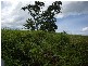 Mena Creek QLD 4871
