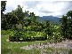 Babinda QLD 4861
