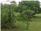 Etty Bay QLD 4858