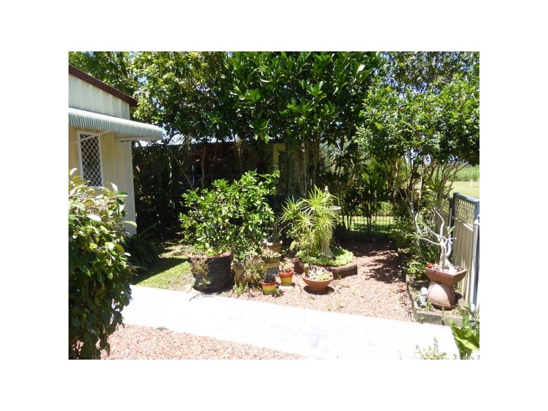 Comoon Loop QLD 4858