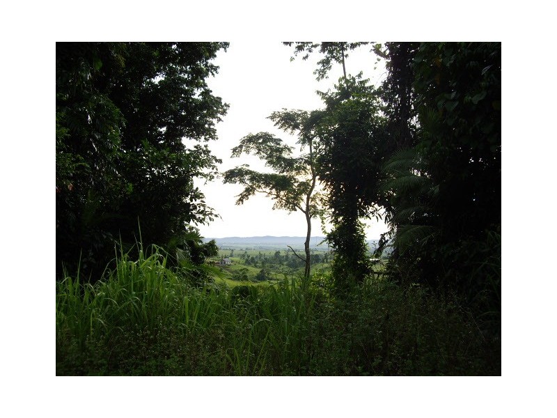 Pin Gin Hill QLD 4860