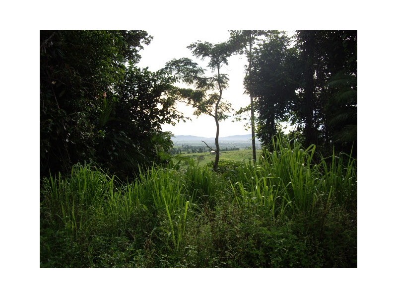 Pin Gin Hill QLD 4860