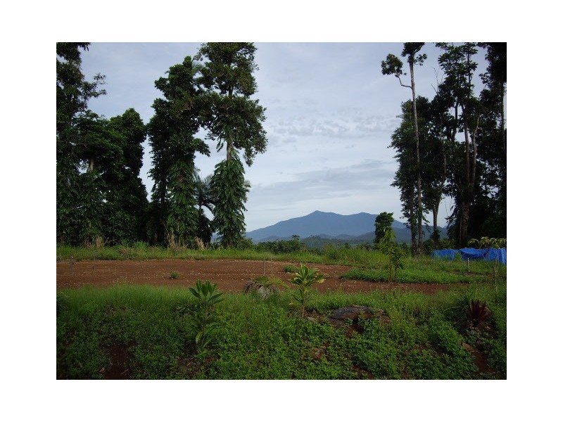 Pin Gin Hill QLD 4860