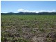 Mena Creek QLD 4871