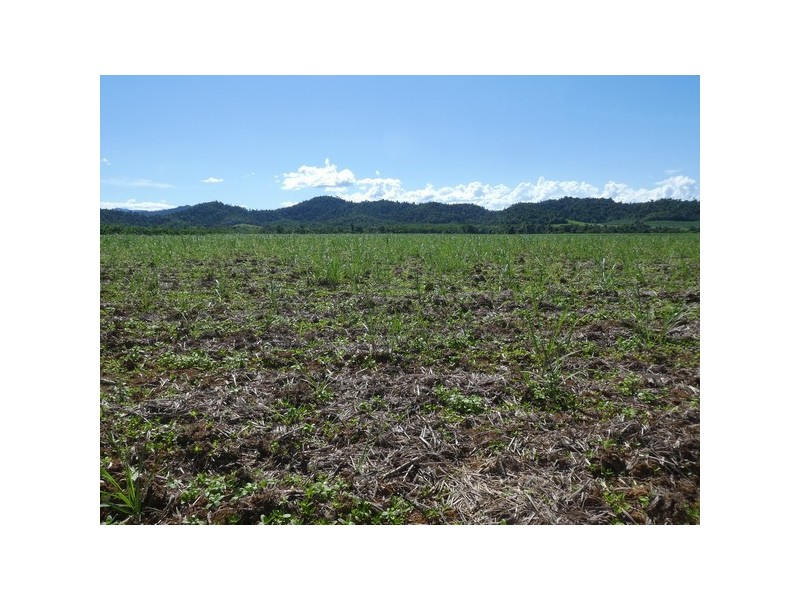 Mena Creek QLD 4871
