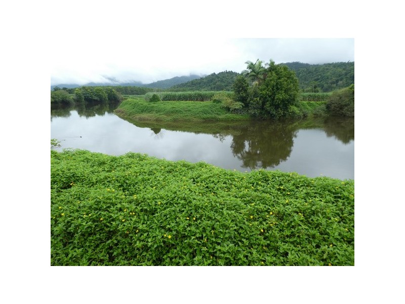 Babinda QLD 4861
