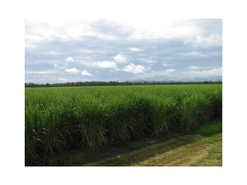 Tully QLD 4854