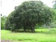 Tully QLD 4854