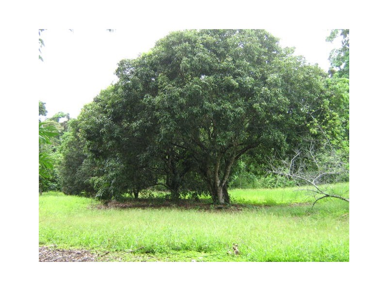 Tully QLD 4854