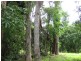 Tully QLD 4854