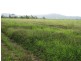 Mena Creek QLD 4871