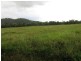 Mena Creek QLD 4871