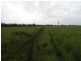 Mena Creek QLD 4871