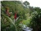 Innisfail QLD 4860