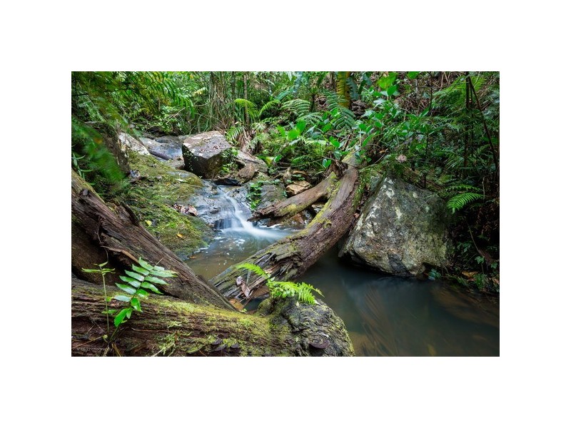 Innisfail QLD 4860