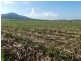 East Feluga QLD 4854