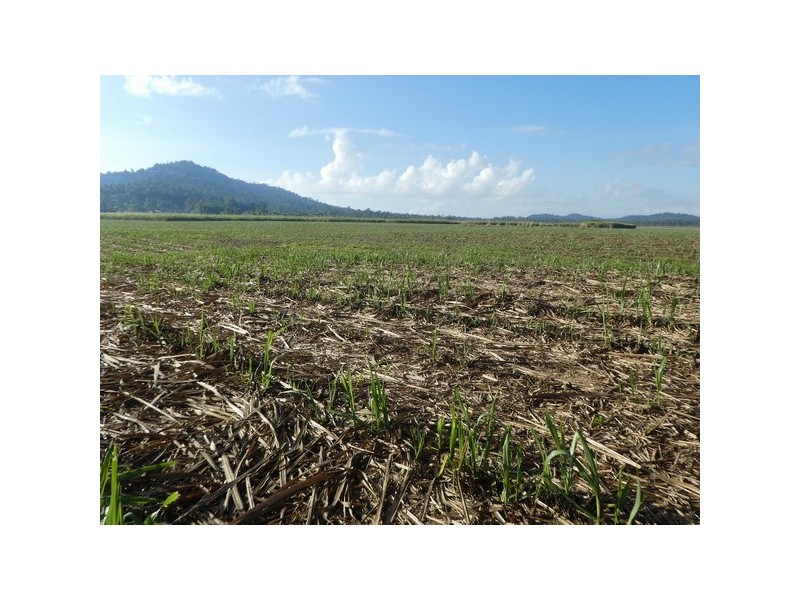 East Feluga QLD 4854